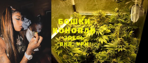 бошки Корсаков