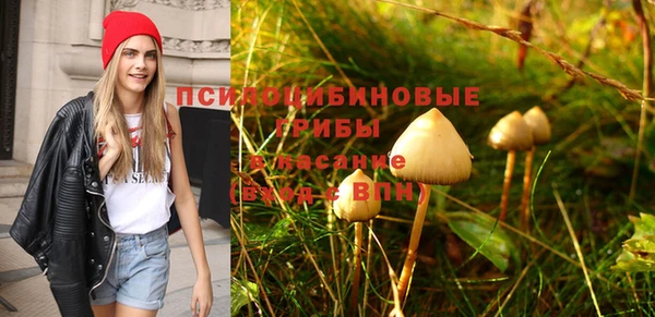 дурь Костерёво
