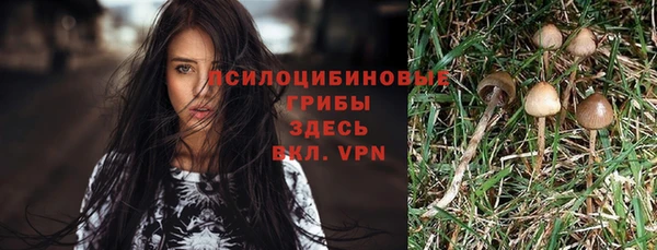 соль курить ск Коряжма