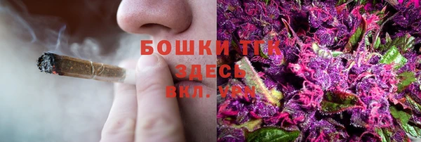 прущий лед Надым