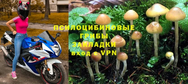 сатива Навашино