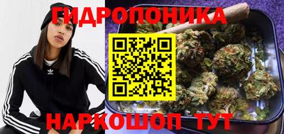 прущие грибы Азнакаево