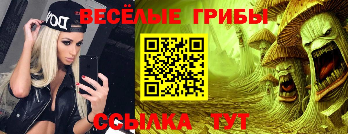 Псилоцибиновые грибы Psilocybine cubensis  Псилоцибиновые грибы MAGIC MUSHROOMS  Ноябрьск 