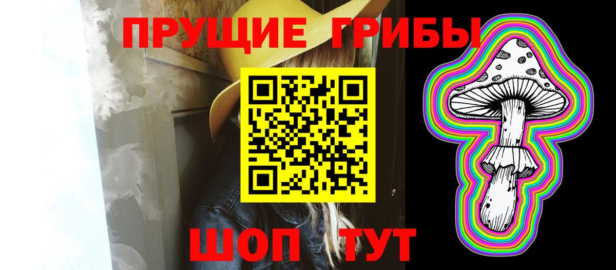 Псилоцибиновые грибы GOLDEN TEACHER Ноябрьск