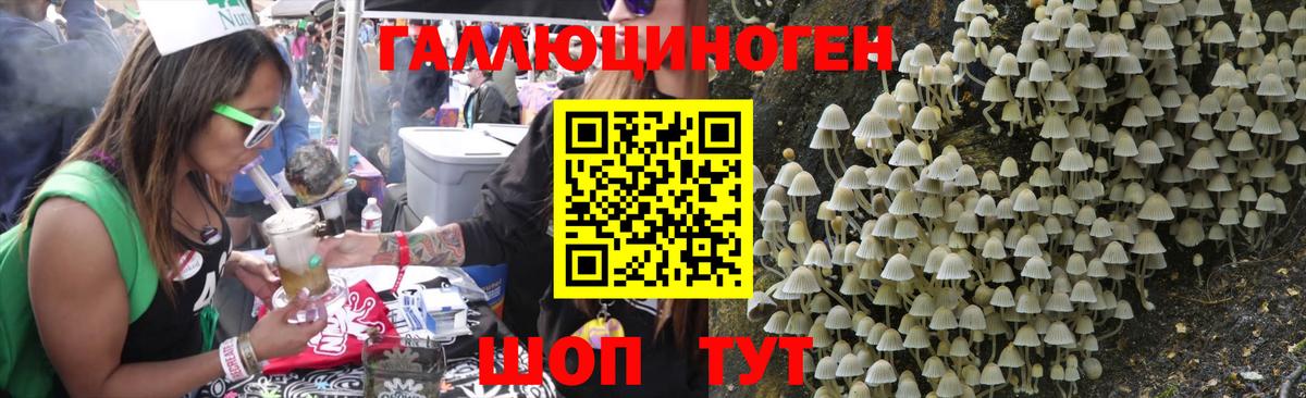 Псилоцибиновые грибы GOLDEN TEACHER  Вход с VPN  Ноябрьск 